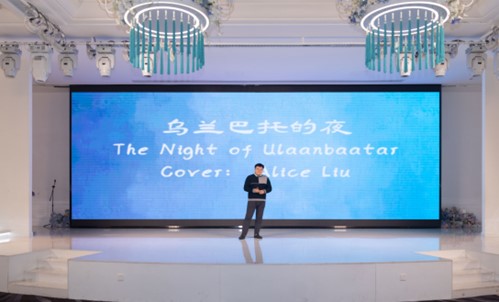 乌兰巴托的夜.jpg